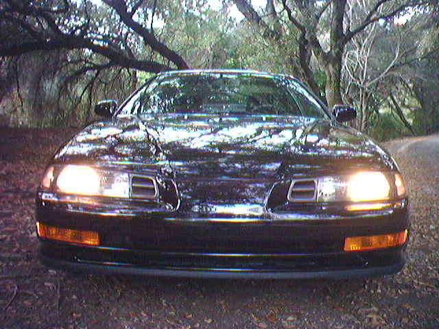 trees contain high frequencieees