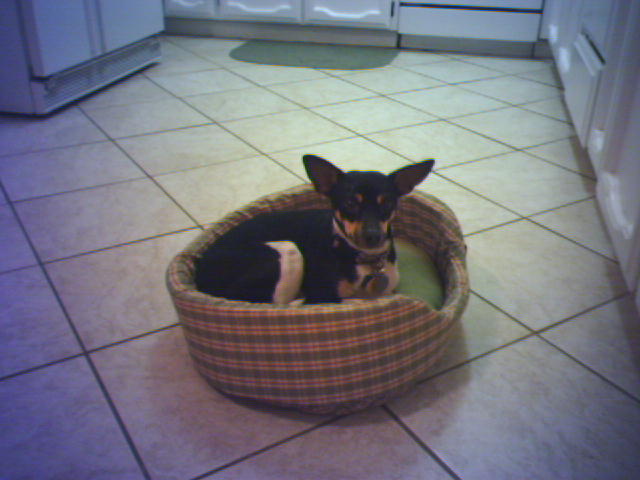 now with a bigger radius!